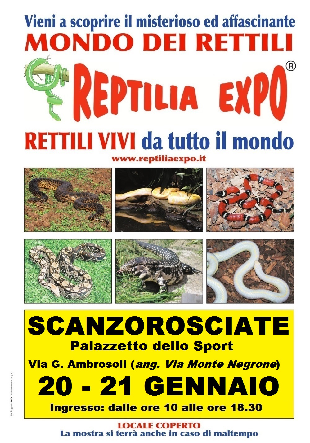 REPTILIA EXPO - L'affascinante mondo dei rettili arriva a Bergamo presso il Palazzetto dello Sport di Scanzorosciate