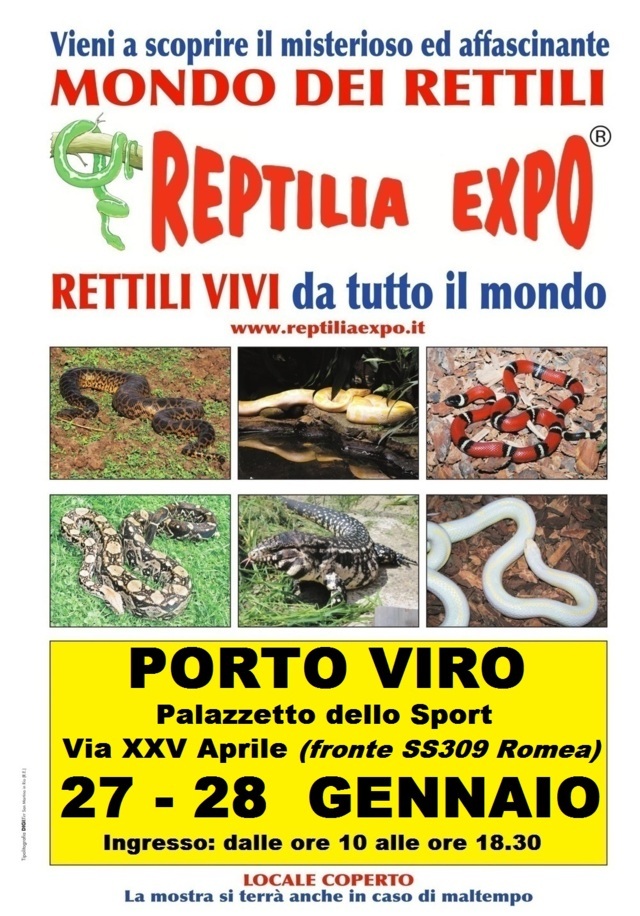 REPTILIA EXPO: l'affascinante mondo dei rettili al Palazzetto dello Sport di Porto Viro