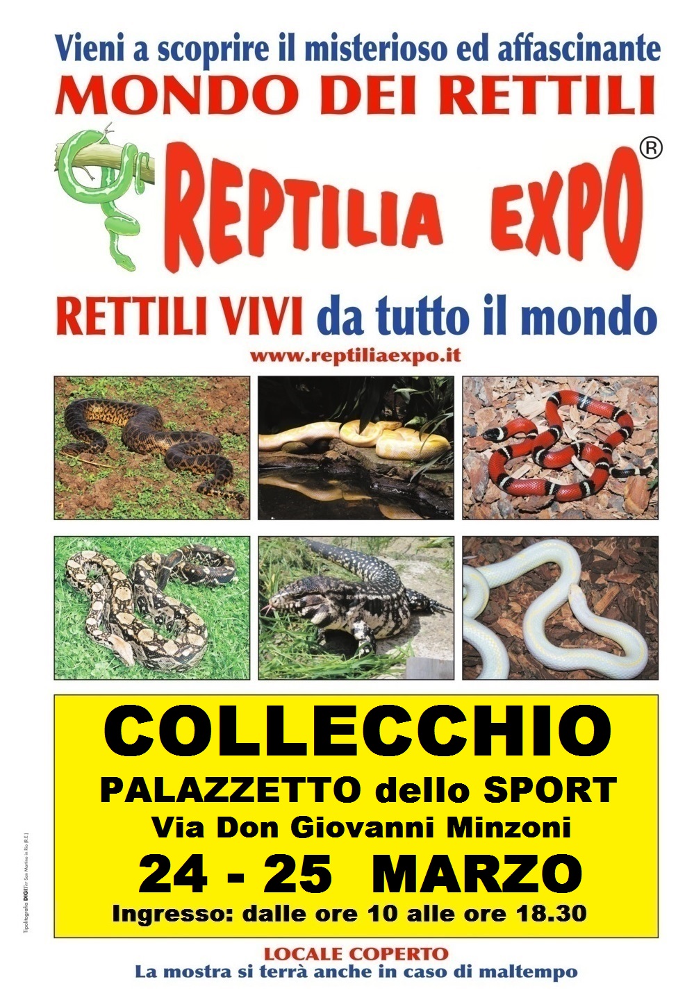 REPTILIA EXPO: l'affascinante mondo dei rettili al Palazzetto dello Sport di Collecchio - Parma