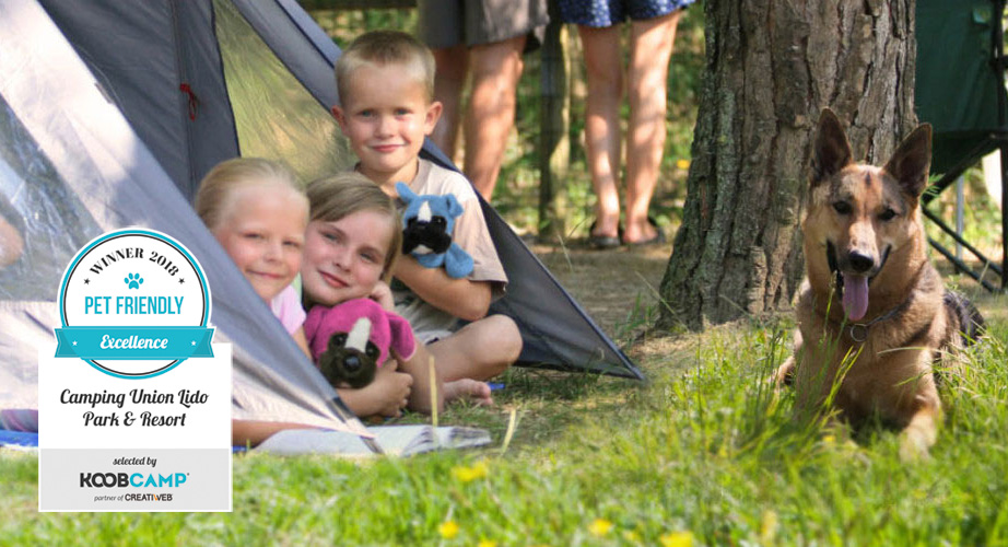 I 10 migliori Campeggi e Villaggi Pet Friendly: il Camping Union Lido Park & Resort di Cavallino-Treporti primo nel 2018
