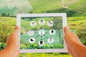 Digitalizzazione e precisione: la nuova frontiera dell’agricoltura 4.0