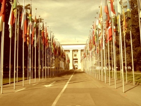 Video sull’articolo 23 della Dichiarazione Universale dei Diritti Umani delle Nazioni Unite
