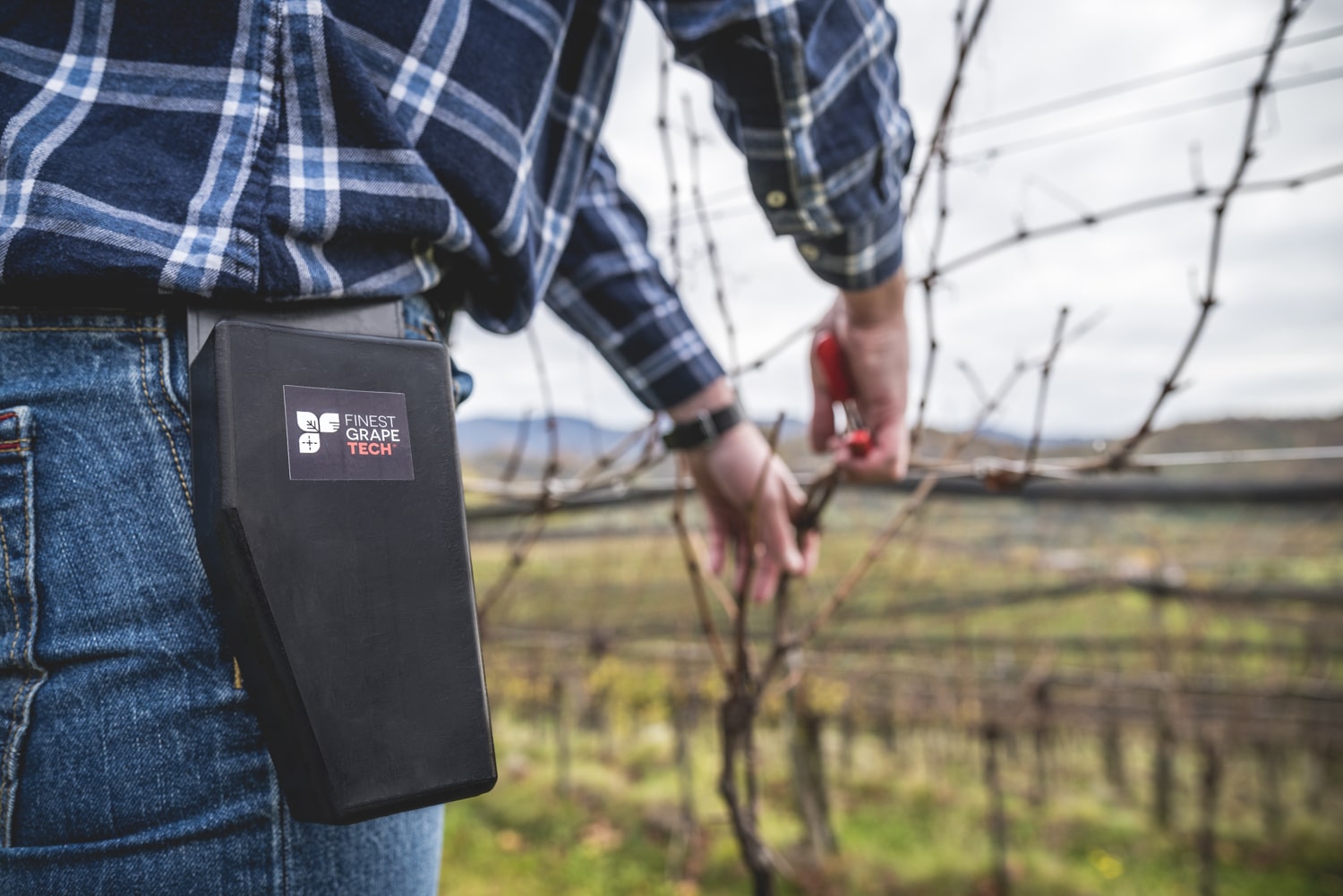 La viticoltura risparmia milioni di euro grazie ai prodotti Finest Grape Tech.