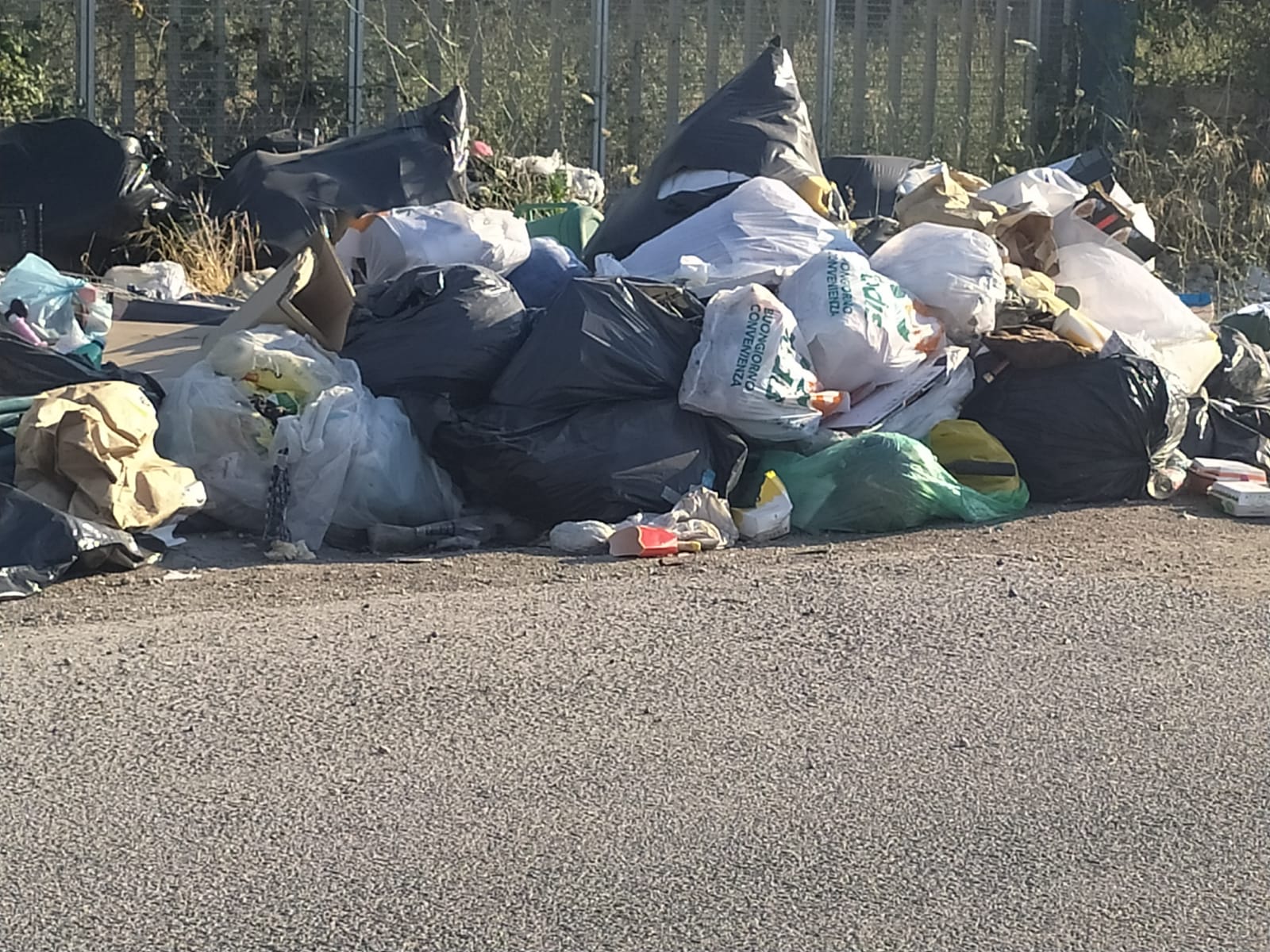 Foto 1 - Italia dei Diritti segnala cumuli di rifiuti a Villanova di Guidonia