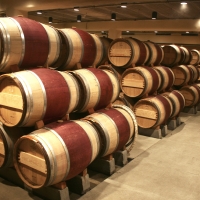 Foto 1 - Il vino: prodotto leader per l’esportazione del Made in Italy