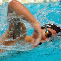 Foto 1 - Il Palazzetto del Nuoto verso la nuova stagione di nuoto e fitness in acqua
