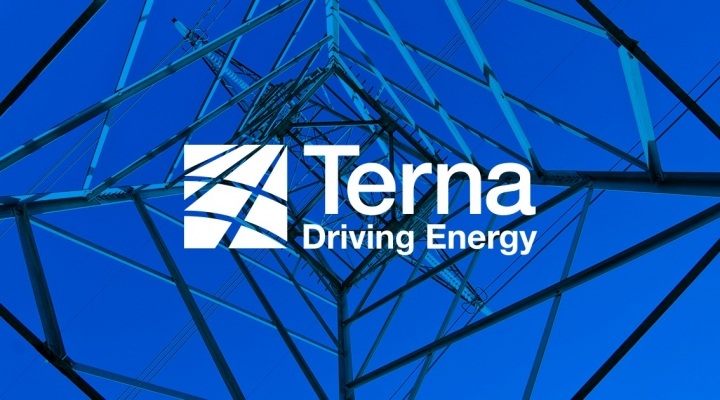 Il Master “Digitalizzazione del sistema elettrico per la transizione energetica” promosso da Terna