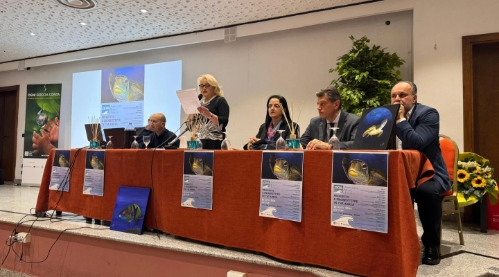 Nasce la delegazione AMI Cosenza-Tropea: un faro di speranza per un futuro più verde