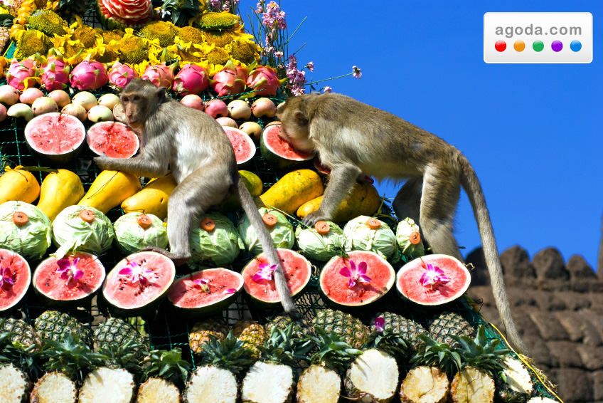 Foto 1 - Festival delle Scimmie di Lopburi, offerte per gli hotel della zona da Agoda.com