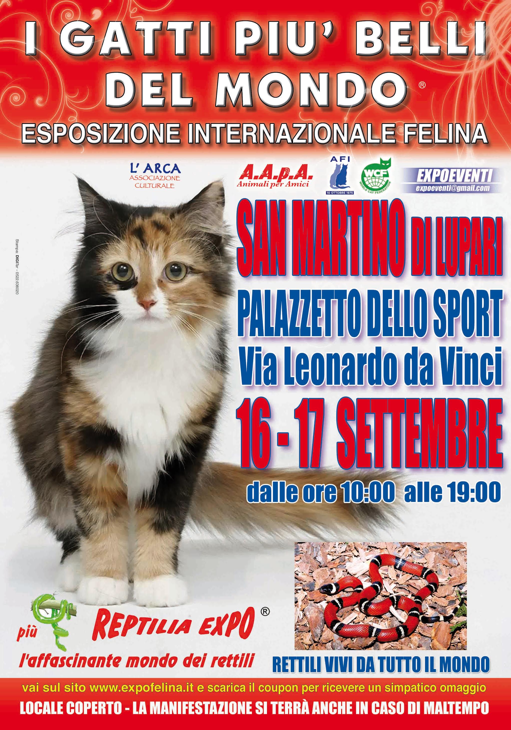 I Gatti Più Belli del Mondo e i Rettili più Affascinanti in mostra al Palazzetto dello Sport di SAN MARTINO DI LUPARI (Padova)