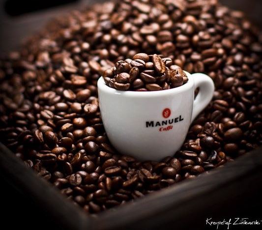 AL VIA IL PROGETTO “RICETTE FIRMATE GRANDI CHEF MANUEL CAFFÈ”