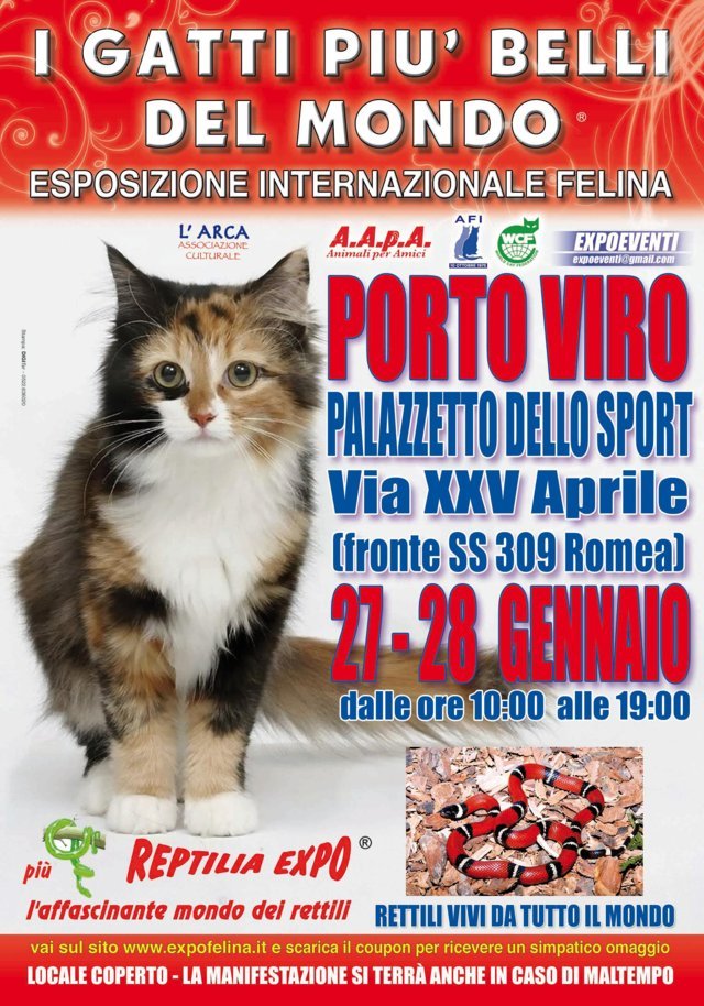I GATTI PIU' BELLI DEL MONDO al Palazzetto dello Sport di PORTO VIRO (Rovigo) - Esposizione Internazionale Felina