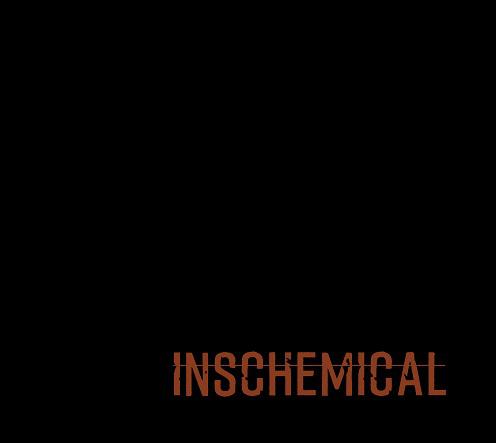   INSCHEMICAL:  “INSCHEMICAL”  è l’album d’esordio della band calabrese uscito il 30 marzo