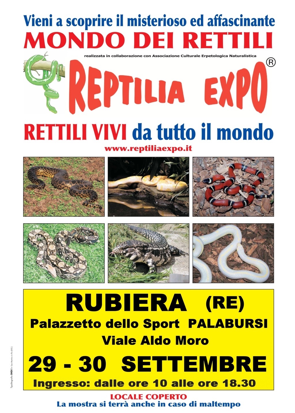 L'affascinante mondo dei rettili in mostra al Palazzetto dello Sport di Rubiera il 29 e 30 settembre