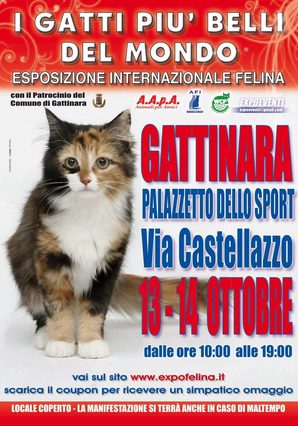 I GATTI PIU' BELLI DEL MONDO - Esposizione Internazionale Felina - a GATTINARA 