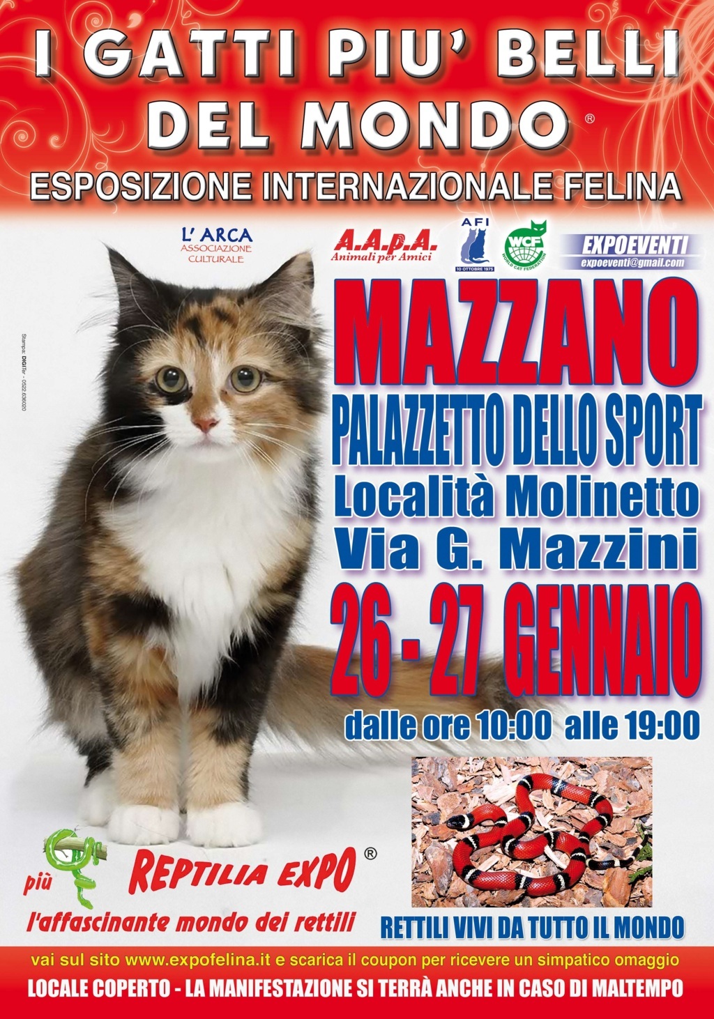 Foto 1 - I Gatti Più Belli del Mondo in passerella al Palasport di Mazzano (Brescia)