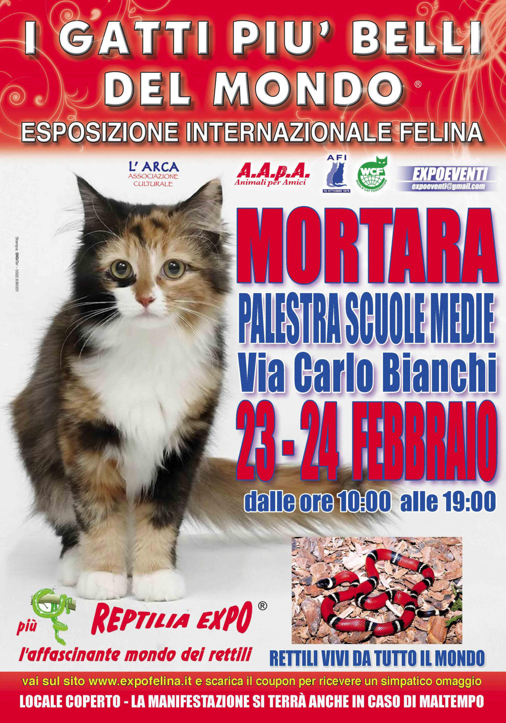 Foto 1 - I Gatti Più Belli del Mondo in passerella a Mortara (Pavia)