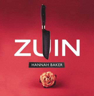 ZUIN “HANNAH BAKER” l’ultimo singolo estratto dall’album “Per tutti questi anni” 
