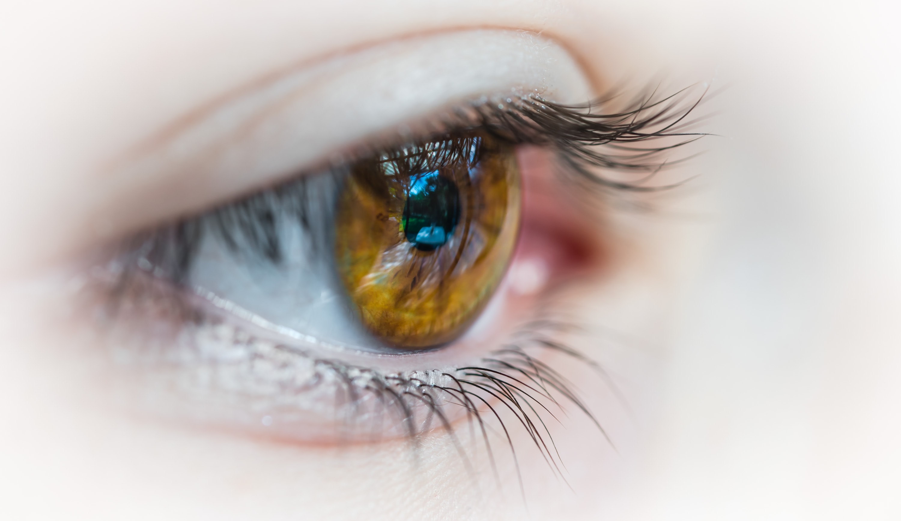 I principali difetti visivi: miopia, ipermetropia, presbiopia e astigmatismo