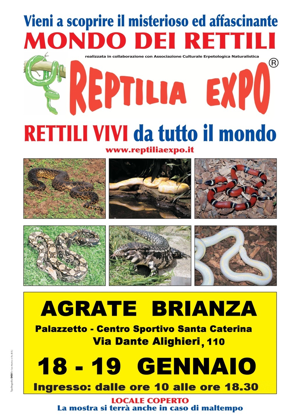 Reptilia Expo - l'affascinante mondo dei rettili