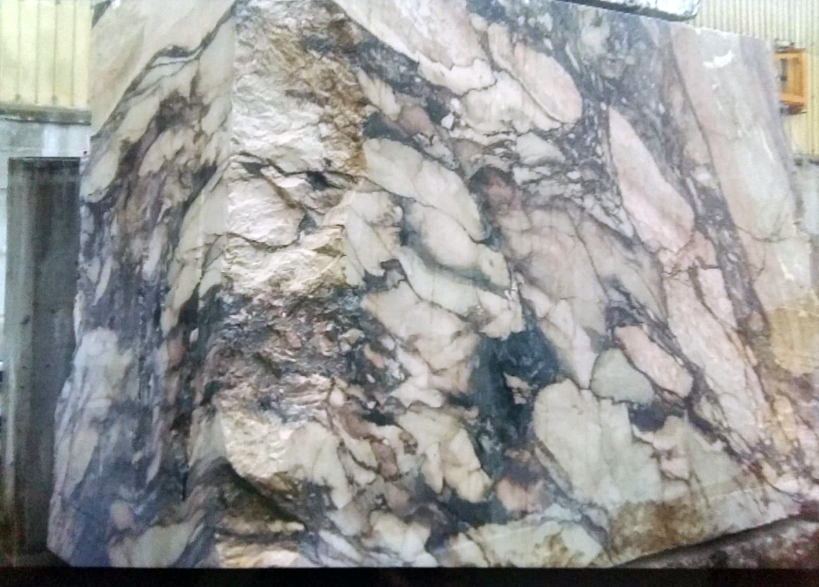 Foto 2 - L'essenza corporea e incorporea di un antico blocco marmoreo mediceo