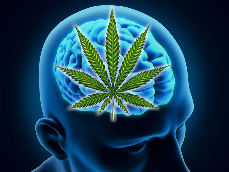 Gli effetti della marijuana sul cervello