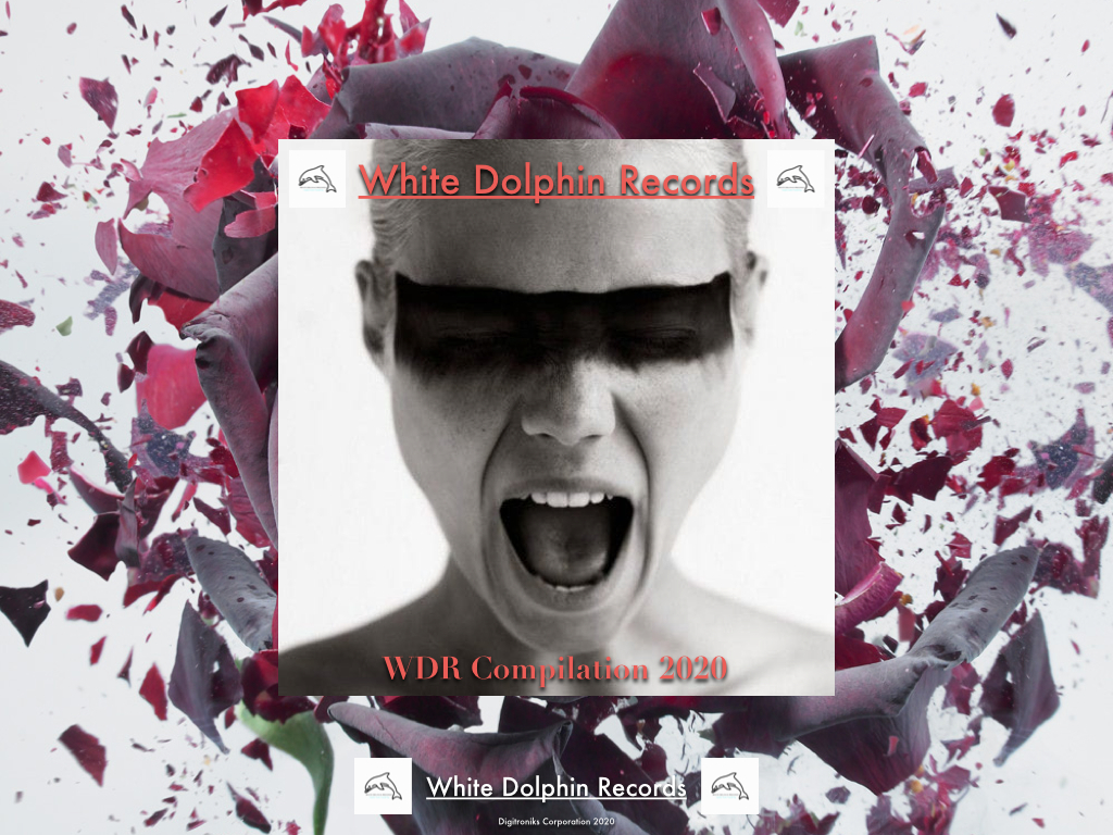 Foto 1 - La White Dolphin Records pubblica online : 