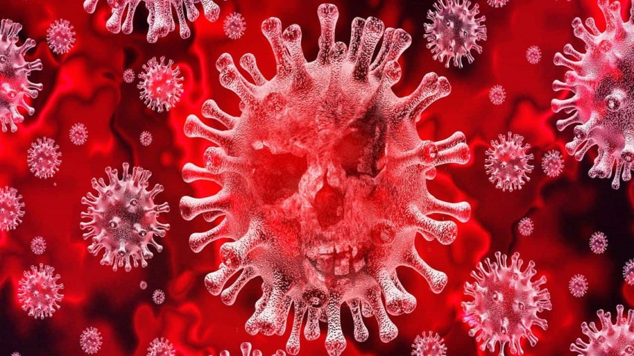 Coronavirus è gli alimenti, rischi e precauzioni