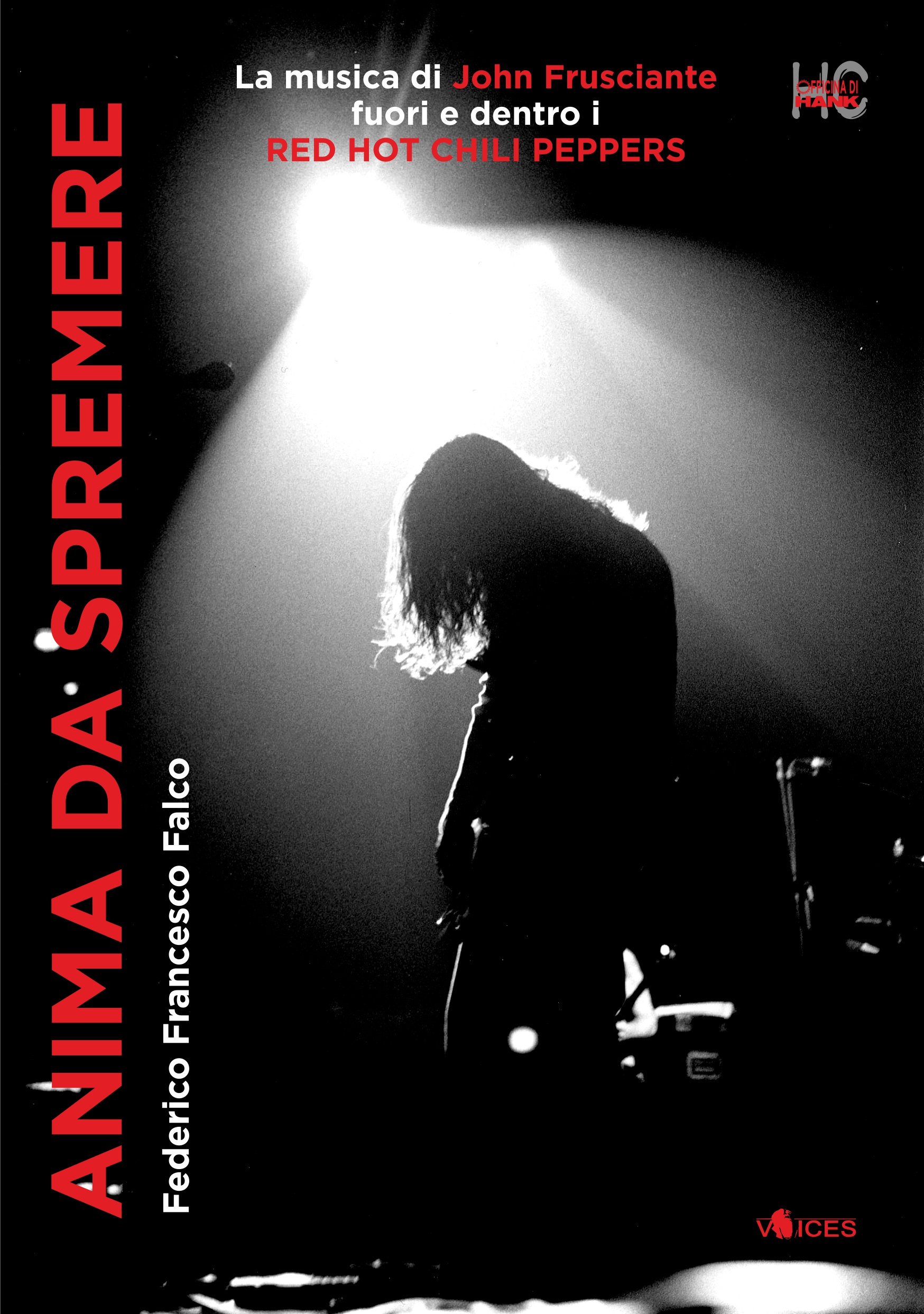 ANIMA DA SPREMERE - La musica di John Frusciante fuori e dentro i Red Hot Chili Peppers