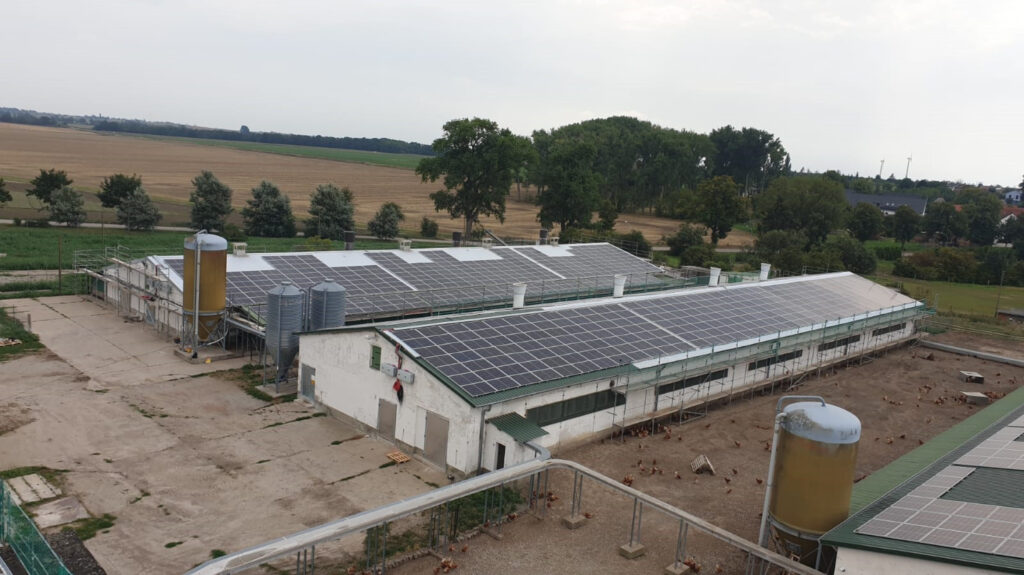 Energia solare dal pollaio: Sun Contracting allaccia alla rete due impianti da 1,3 MWp