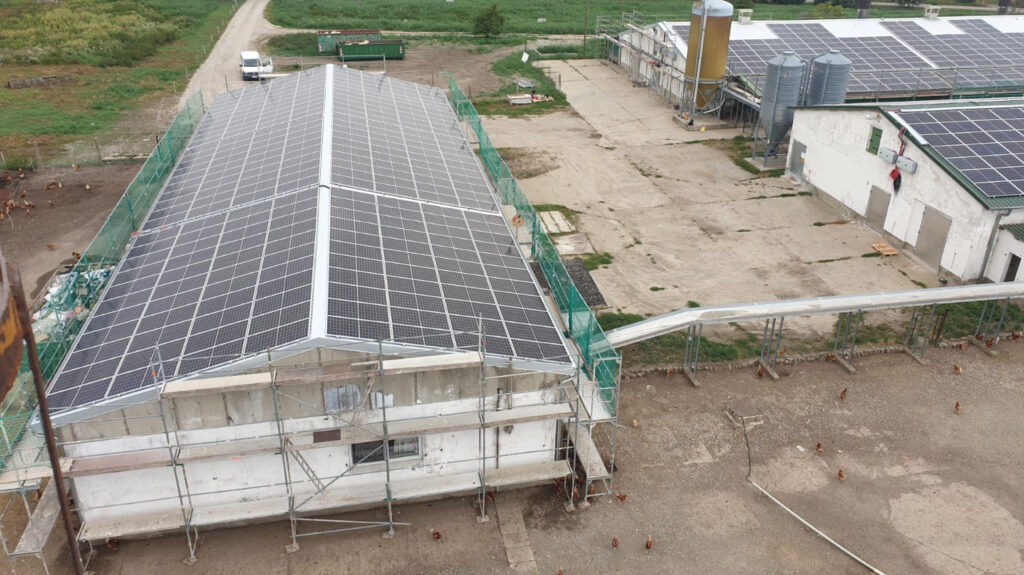 Foto 3 - Energia solare dal pollaio: Sun Contracting allaccia alla rete due impianti da 1,3 MWp