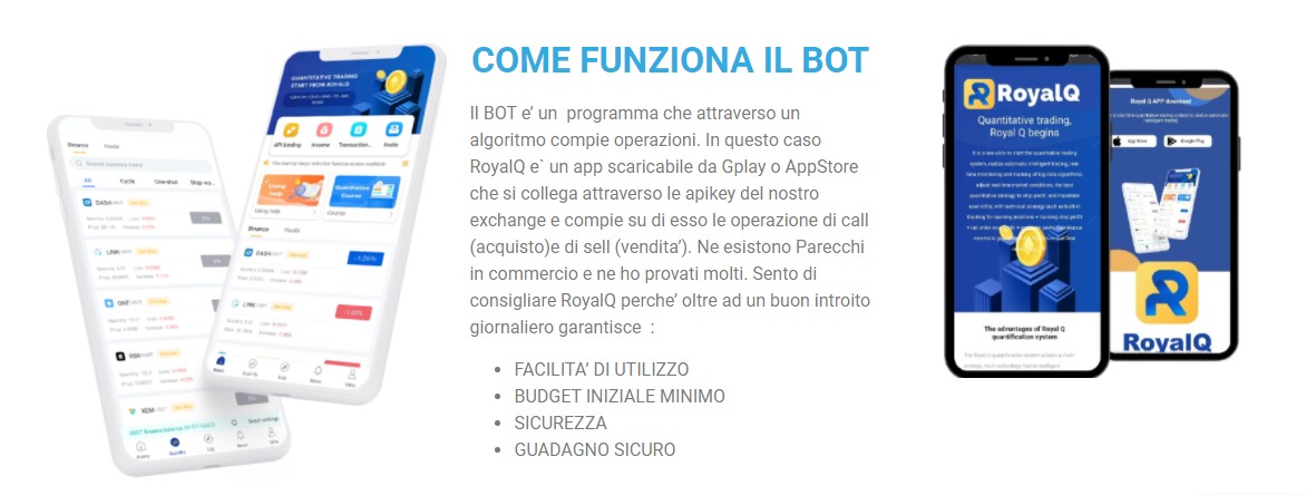 RoyalQ: il bot buy e sell sempre operativo per una rendita