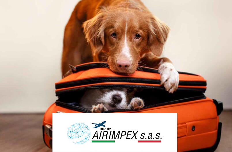 Trasporto aereo animali vivi AIRIMPEX  a Fiumicino