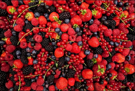 (Medicina in breve) – L’importanza dell’assunzione di frutta selvatica nella propria dieta.