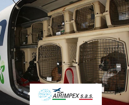 Spedizioni aeree animali domestici AIRIMPEX