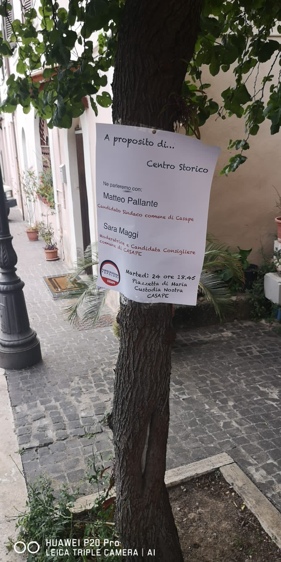 Italia dei Diritti denuncia, a Casape alberi scambiati per plance elettorali