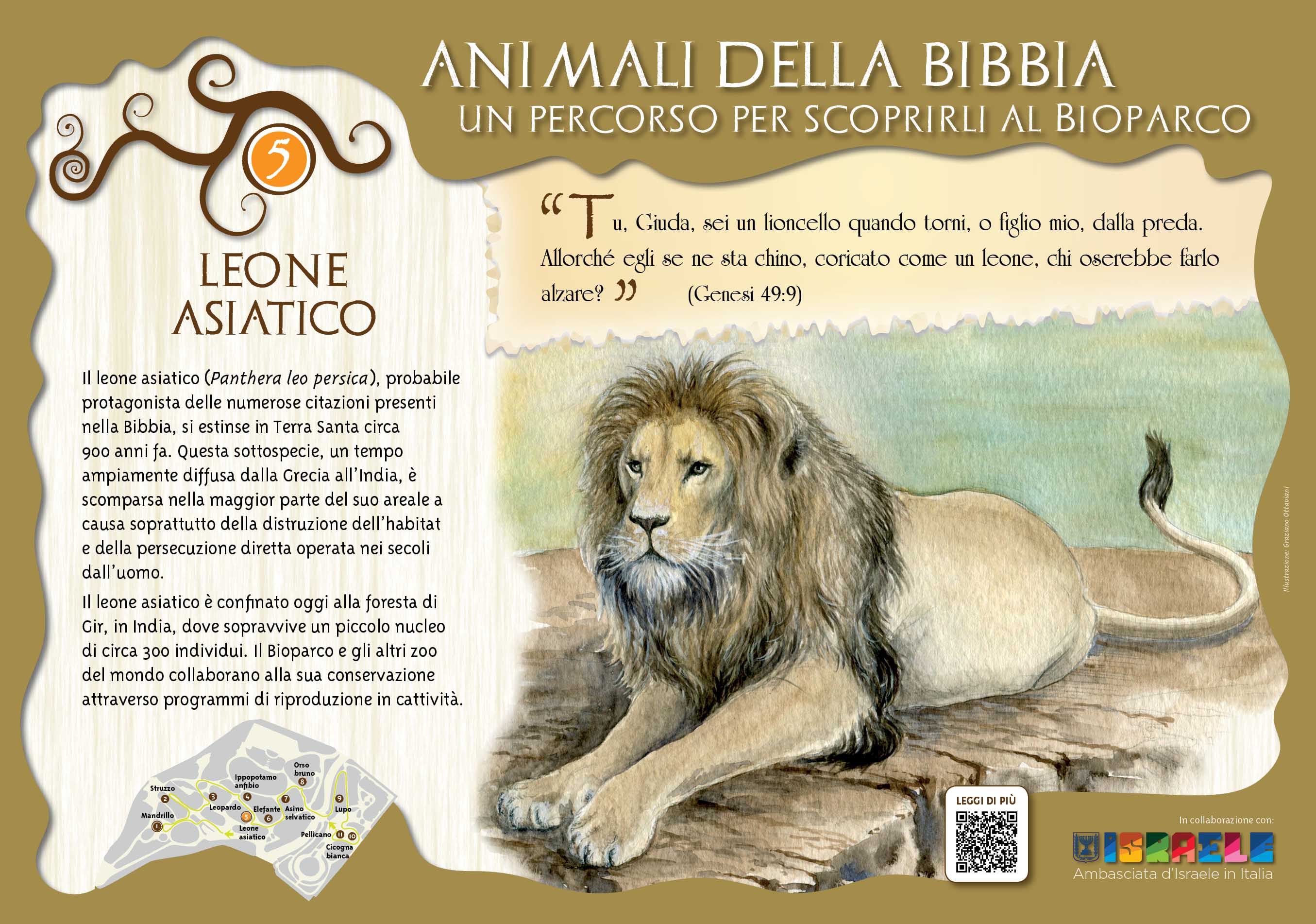 Ambasciata d’Israele e Fondazione Bioparco Inauguriamo l’Intinerario Culturale ” Animali della Bibbia
