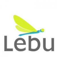 Gamification Aziendale: con Lebu è possibile fare formazione giocando