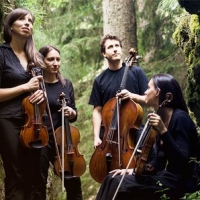 Il Quartetto Lyskamm in concerto 