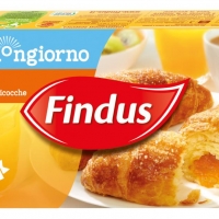 Grande novità in casa Findus con  “Dolce Buongiorno”, la nuova linea di prodotti pensata per la prima colazione