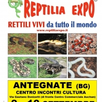 REPTILIA EXPO - L'affascinante mondo dei rettili ...arriva ad ANTEGNATE (Bergamo)
