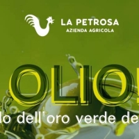 Foto 2 - “Ti Olio!”, Il mondo dell’oro verde della terra in tavola tra degustazioni e cooking contest a Ceraso