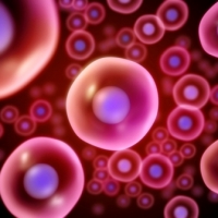 Conservazione delle cellule staminali del cordone: il perch� di una scelta consapevole