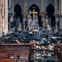 Incendio Notre-Dame: inaccortezza e degrado del legno come possibili cause del disastro?