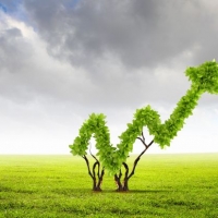 L’equity crowdfunding fa bene all’ambiente. Le campagne di successo su CrowdFundMe 