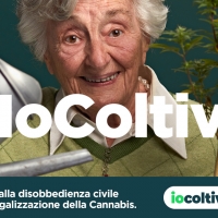 #IoColtivo, al via la campagna di disobbedienza civile pro cannabis