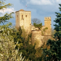 Foto 2 - Didattica on line per scuole: il Castello di Gropparello nei Castelli del Ducato sul tuo computer.