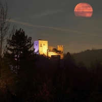 Foto 3 - Didattica on line per scuole: il Castello di Gropparello nei Castelli del Ducato sul tuo computer.