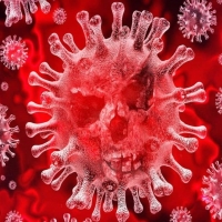 Coronavirus � gli alimenti, rischi e precauzioni