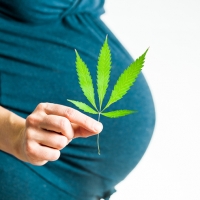I gravi rischi della cannabis in gravidanza